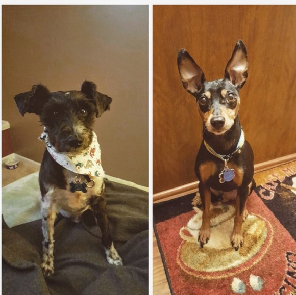 MEET YOUR POSHER!!! - Picture 2 of 8